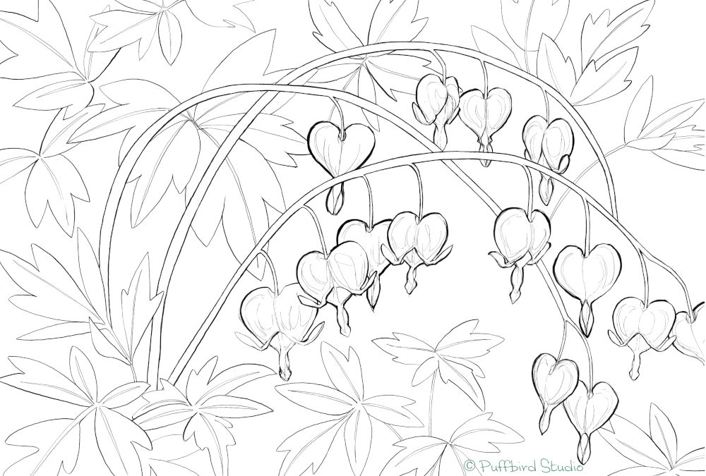Bleeding Hearts